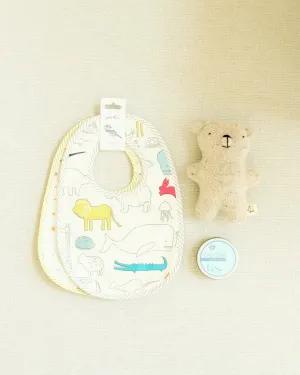 Baby Bundle Boy