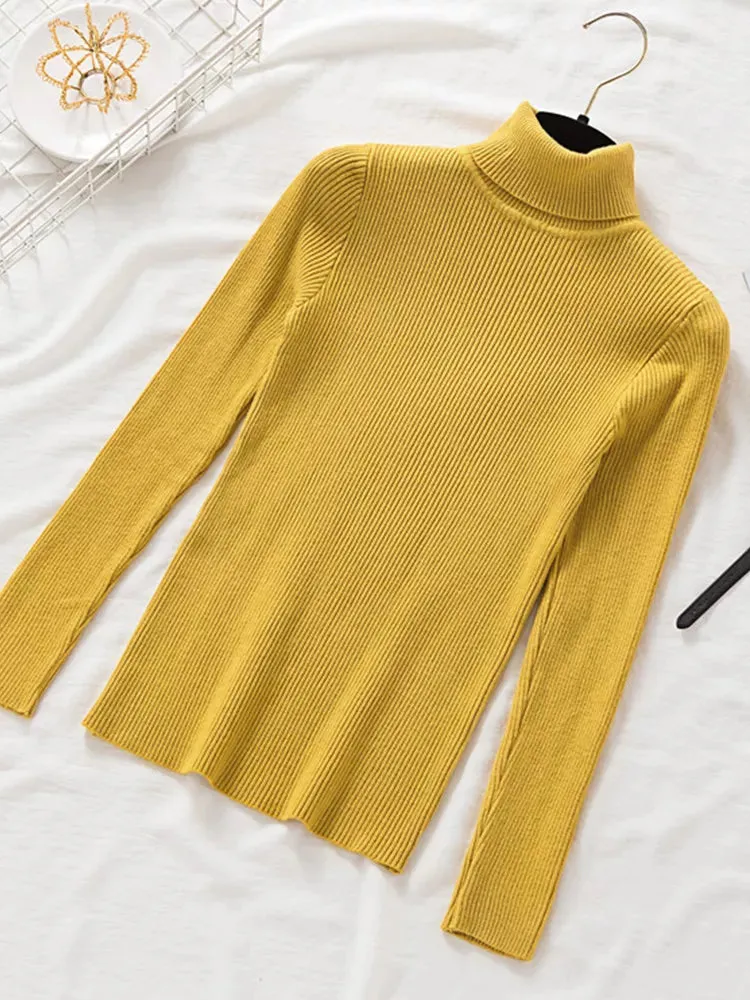 Slim Fit Turtleneck Tight Sweater