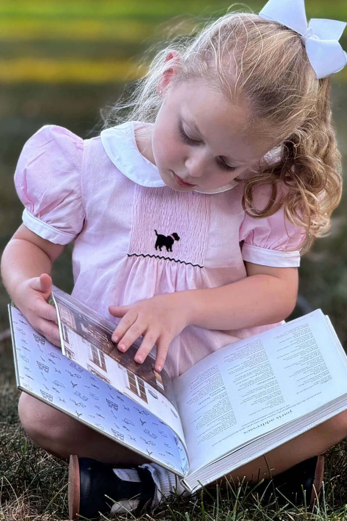 Smocked Pink Dog Dress